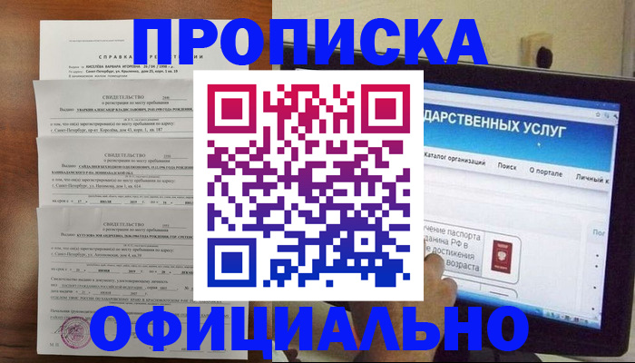 временная регистрация для школы в Елизово
